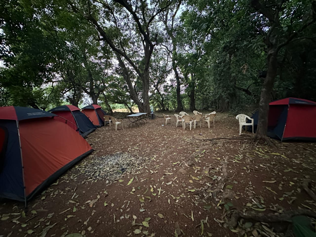 tent stay at rajmachi